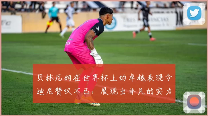 贝林厄姆在世界杯上的卓越表现令迪尼赞叹不已，展现出非凡的实力与魅力